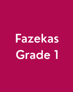 Fazekas grade 1
